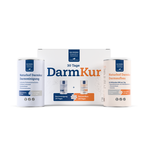 Darmkuur