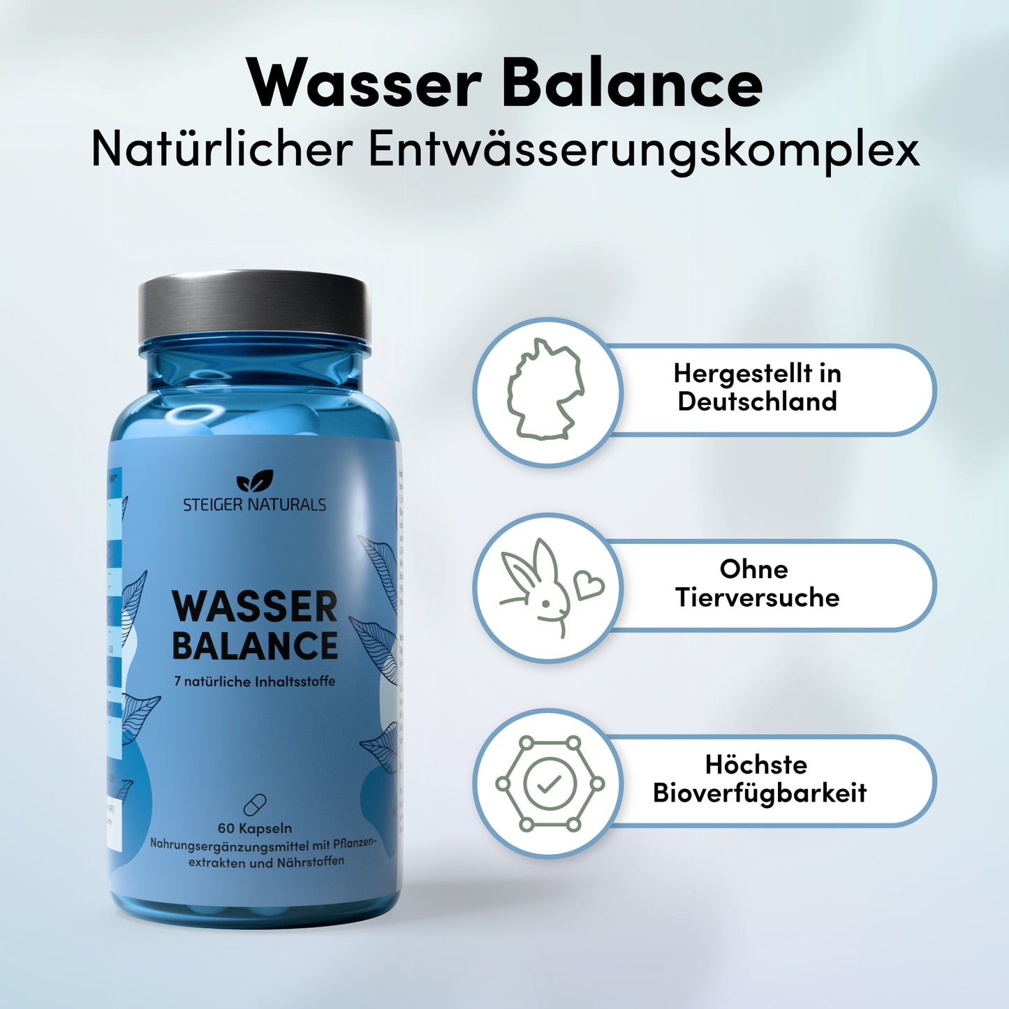 6er Set Wasser Balance - natürlicher Entwässerungs-Komplex