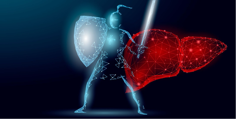 Die besten Tipps & Mittel eine gesunde Leber