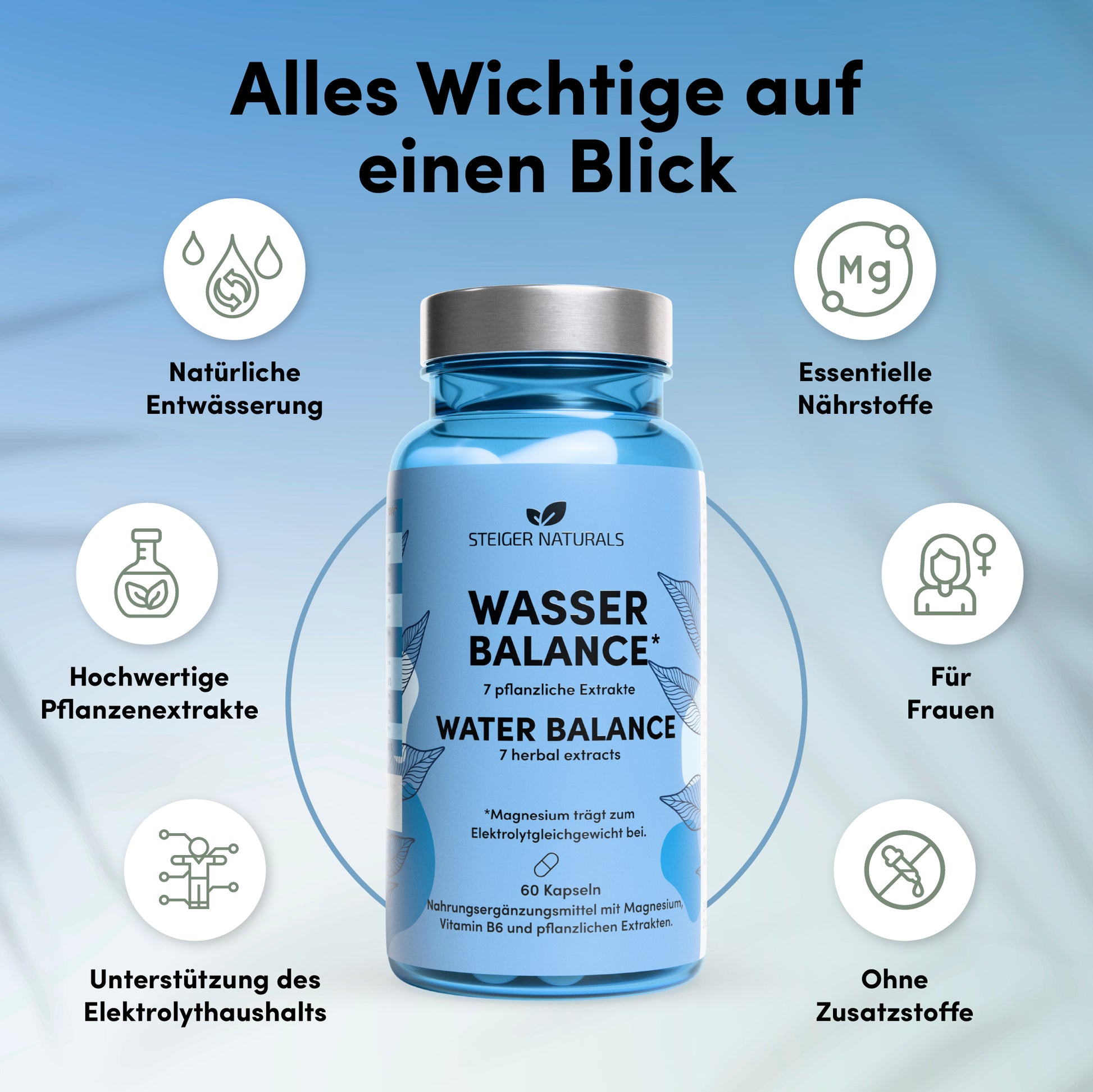 Wasser Balance - natürlicher Entwässerungs-Komplex